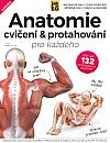 Anatomie cvičení a protahování pro každého