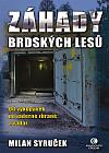 Záhady brdských lesů: Od vykopávek po jaderné zbraně a radar