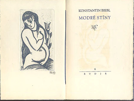 Modré stíny