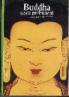 Buddha - cesta probuzení