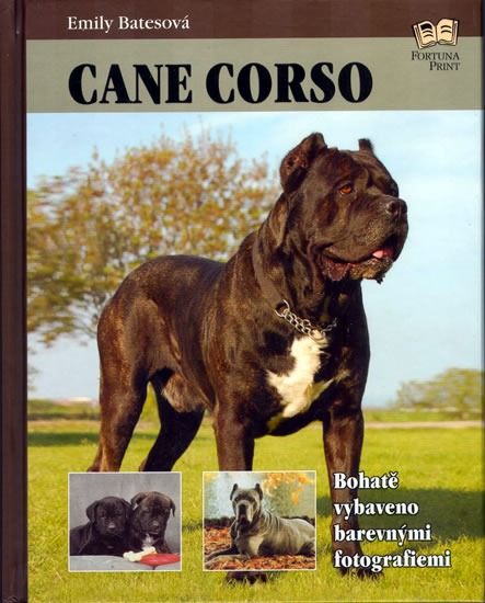 Cane Corso