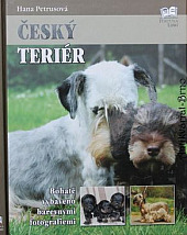 Český teriér