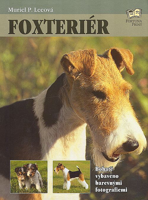 Foxteriér