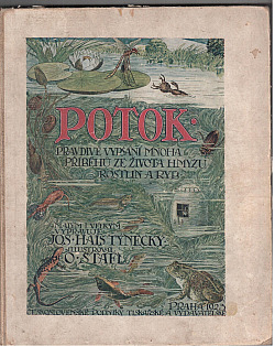 Potok