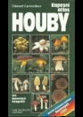 Houby