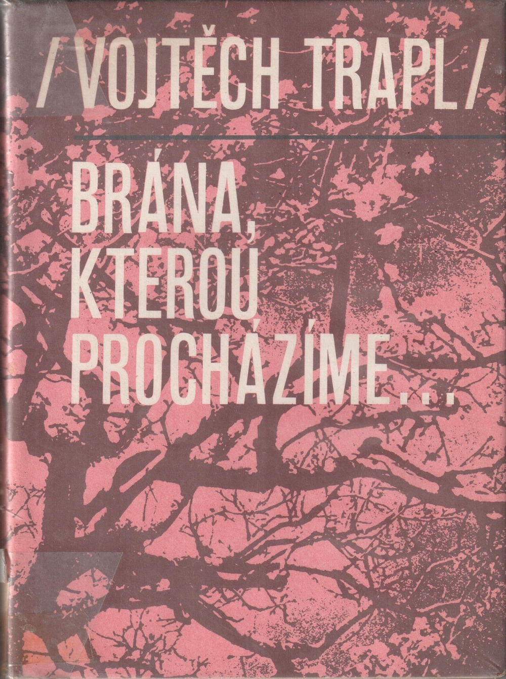 Brána, kterou procházíme