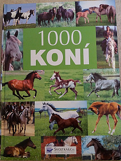 1000 koní