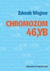 Chromozom 46,YB