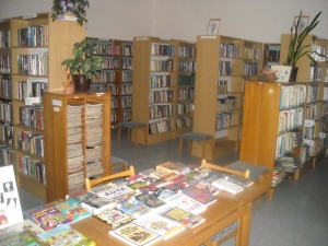 Místní knihovna Kostice